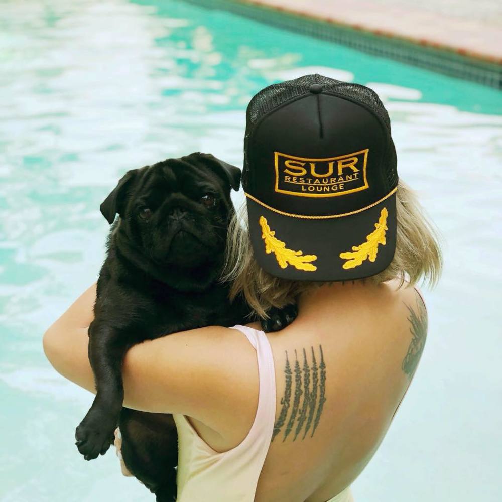 Meet your Posher, Michelle